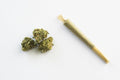 Single preroll 
1.4g Net weight 
