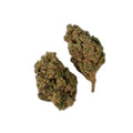 Quarter Key (Flower)