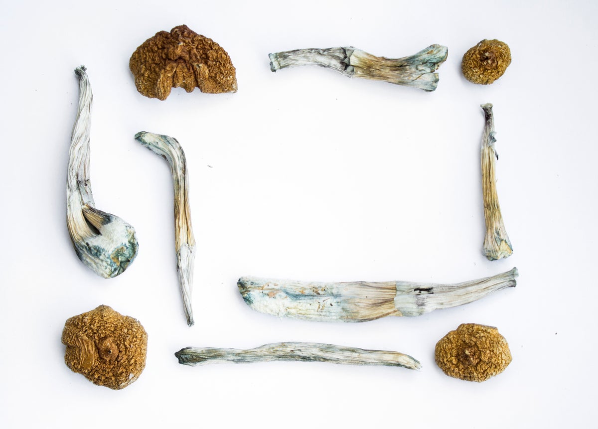 Magic Mushrooms / Shrooms
